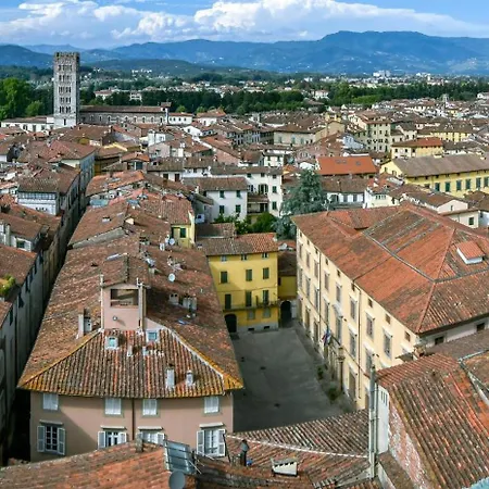 Butterfly In 公寓 卢卡